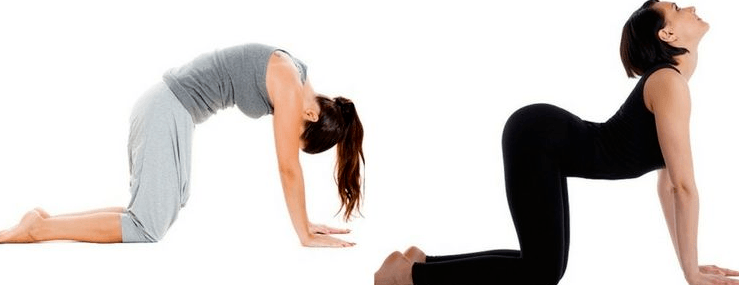 strength training for lower back pain
